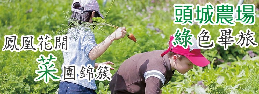 トウチェン レジャー ファーム ホテル 頭城鎮 エクステリア 写真